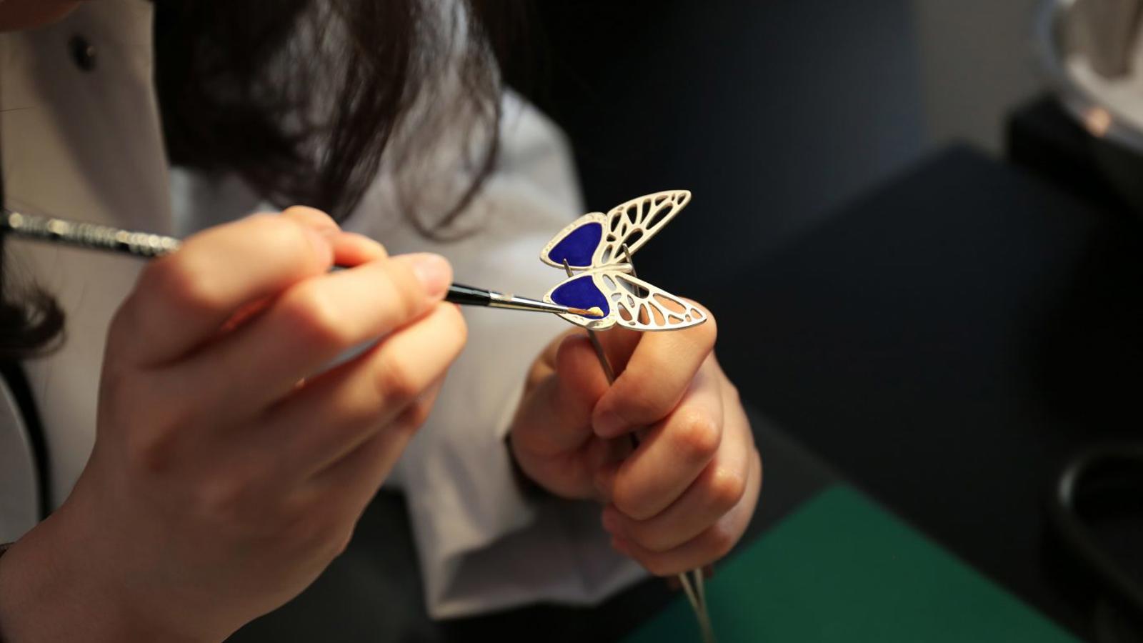 une personne tenant un papillon