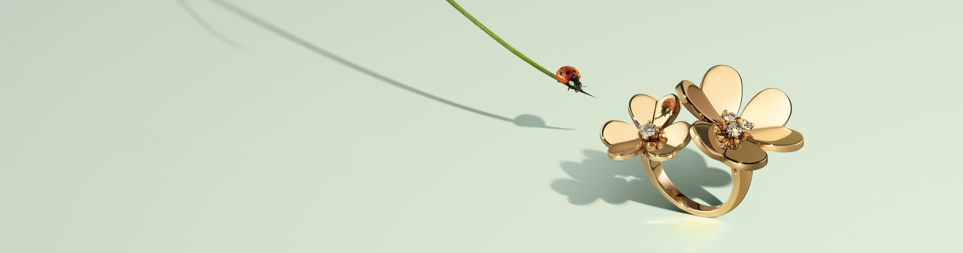 a ladybug on a stem with a ring on top of it