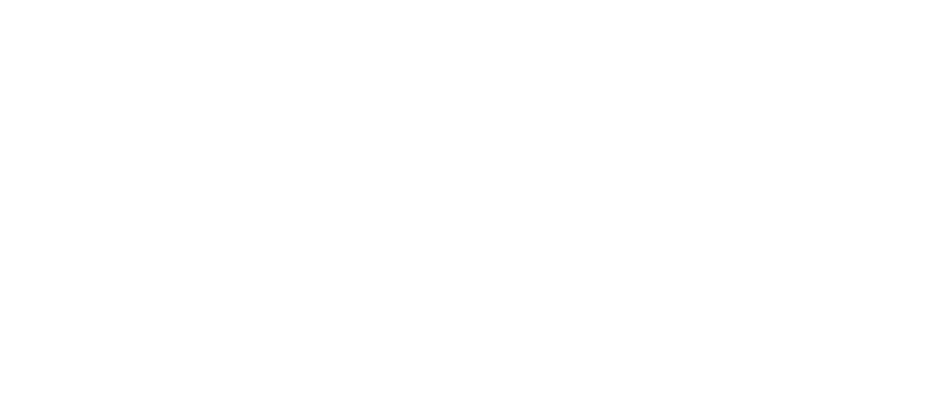 RIMS